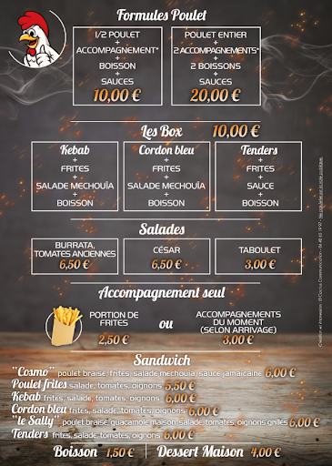 Photo 1 - Cosmo-Chicken