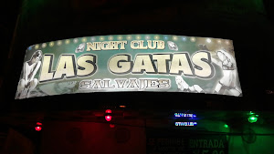 Night Club Las Gatas Salvajes 4