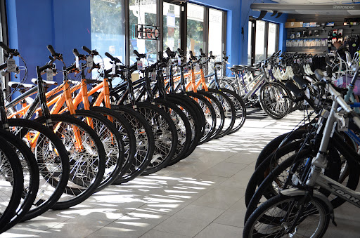 Palm Coast Bicycle Trail Shop - Thumbnail