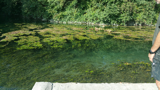 Percorso Orchidea - Visual