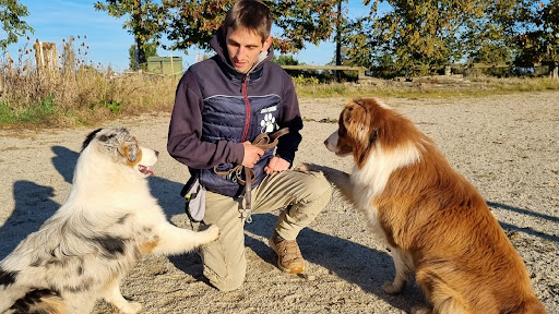 Educateur canin - Dressage - Socialisation - Comportementaliste - Logo