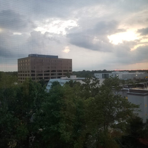Echelon Towers Gallery - United States