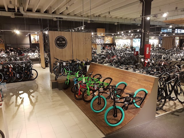Fahrrad XXL Franz