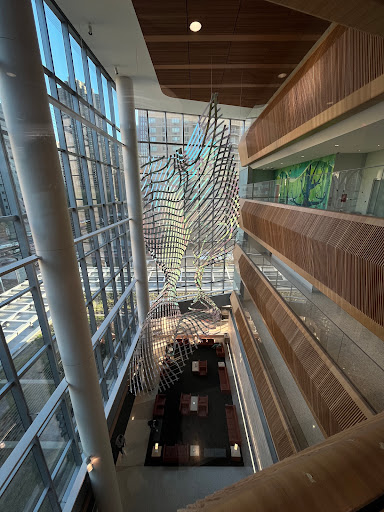 Hassenfeld Children’s Hospital at NYU Langone - Thumbnail