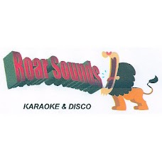 Roar Sounds Karaoke & Disco bath