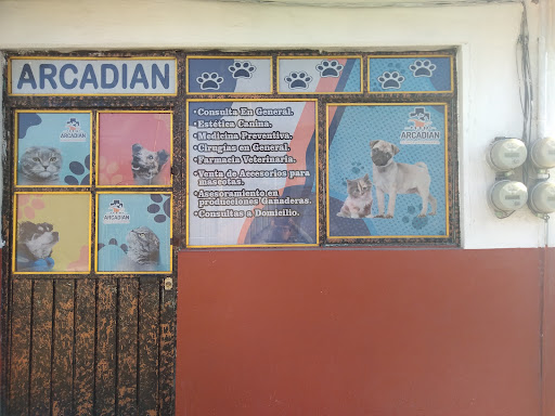 Centro Médico Veterinario Arcadian - Thumbnail