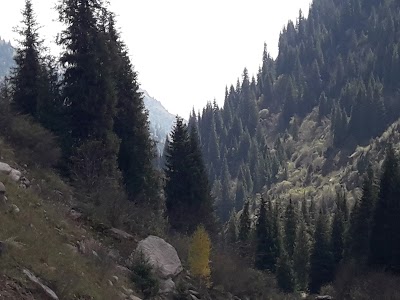 Photos of Dinar Sky