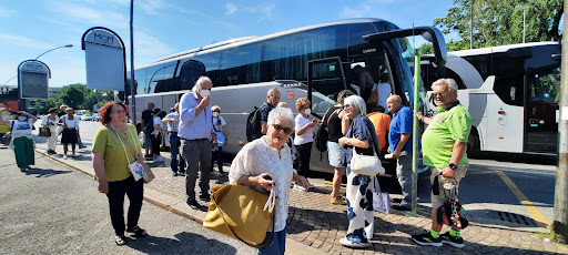 Treviso FS - Visual