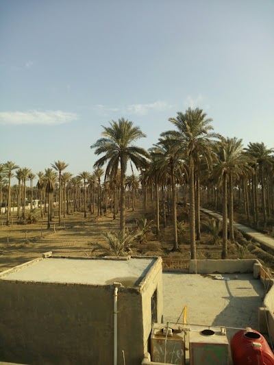 Photos of قرية المزاريع - الزور