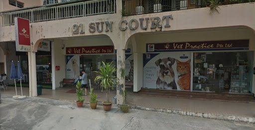 Vet Practice Pte Ltd - Thumbnail