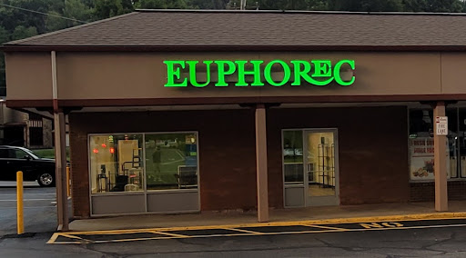 Euphorec - Visual