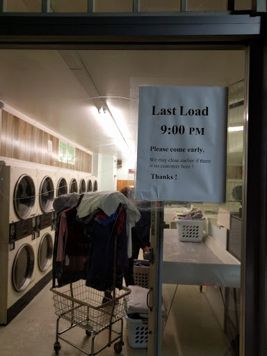 Laundry Bee - Visual