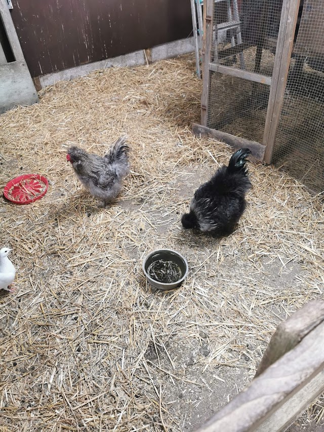 Court Farm Country Park