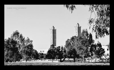 Photos of Zaid ibn Thabit Mosque