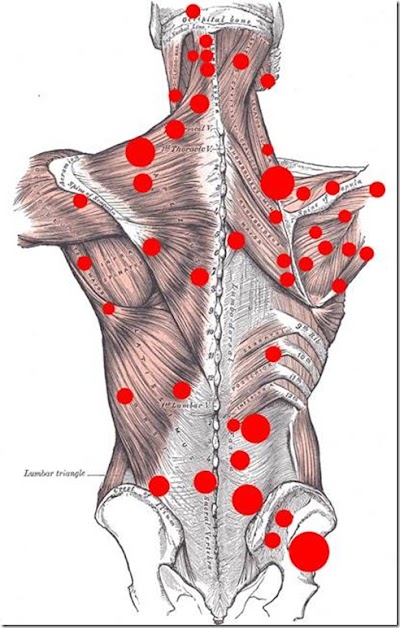 Total Wellness Massage Therapy & Bodywork