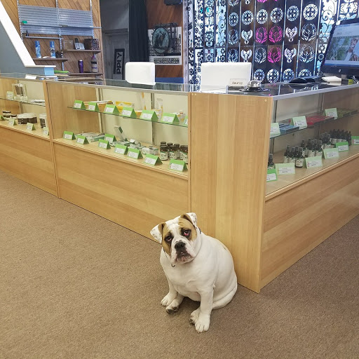 The Source CBD - Visual
