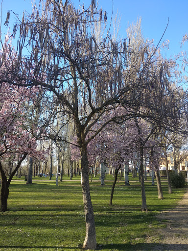 Remuel Park - Visual