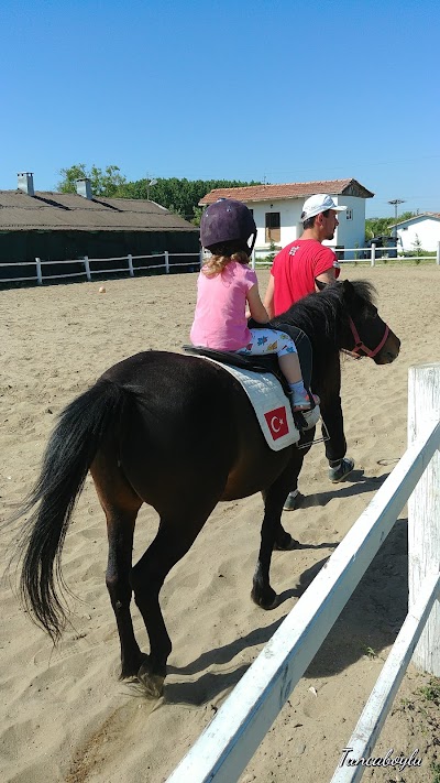 Photos of Sella turcica Riding & Equestrian Center