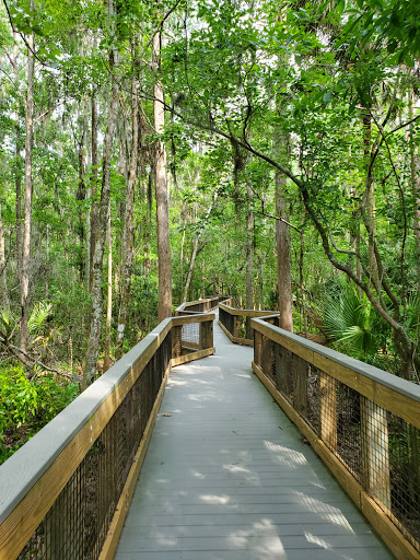John Chesnut Sr. Park Gallery - United States