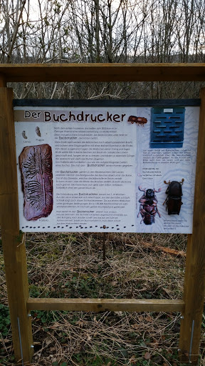 Naturlehrpfad am Kreuzbergsee - Thumbnail