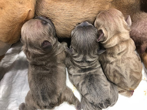 Photo n°8 de Aixiance Vet - Clinique Vétérinaire à Aix-en-Provence (Clinique vétérinaire)