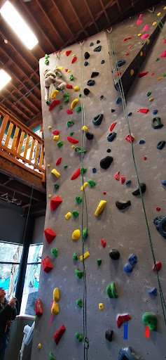 Top Out Climbing Co-op Gallery - Canada