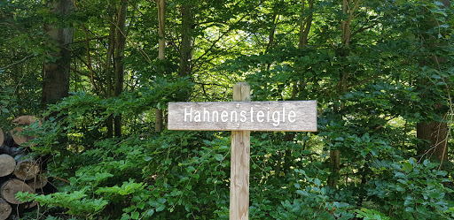 Hahnensteigle