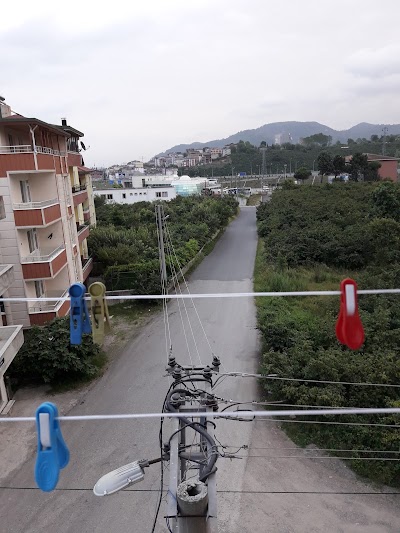 Photos of &Uuml;nye Bus Terminal