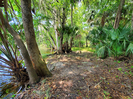 Bluffton Park - Visual