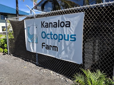 Kanaloa Octopus Farm