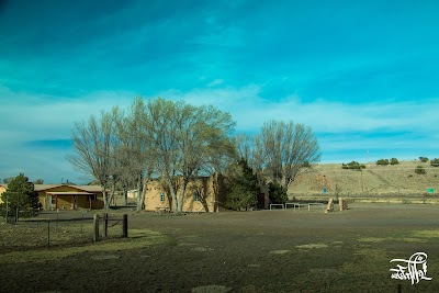 Dia Art Foundation/The Lightning Field