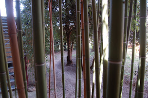 Photo n°5 de Le Chant des filles - Chambres d'hôtes à Montbazin - Anne Granier à Montbazin (Chambre d'hôtes)