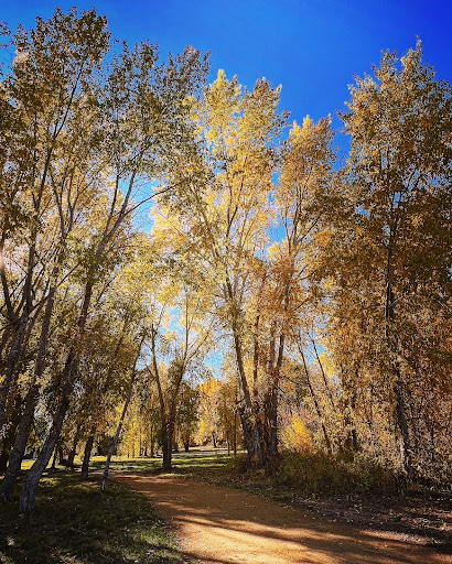 JFK Park, Helena