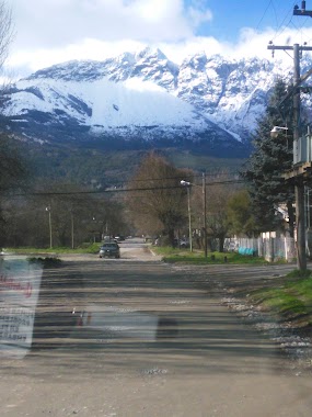 Pasionaria Del Sur Cabañas, Author: Alejandra Del Castello