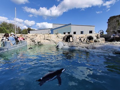 Mystic Aquarium