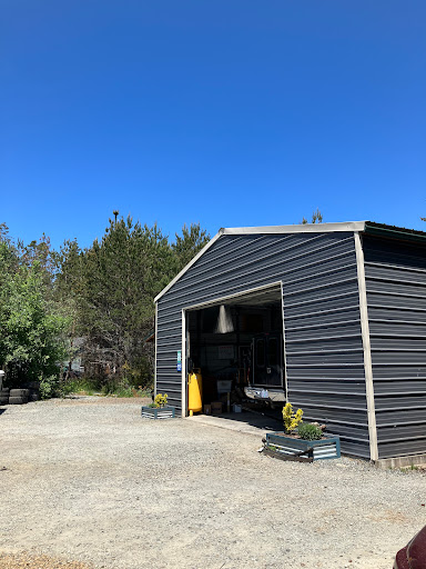 Evergreen Auto LLC