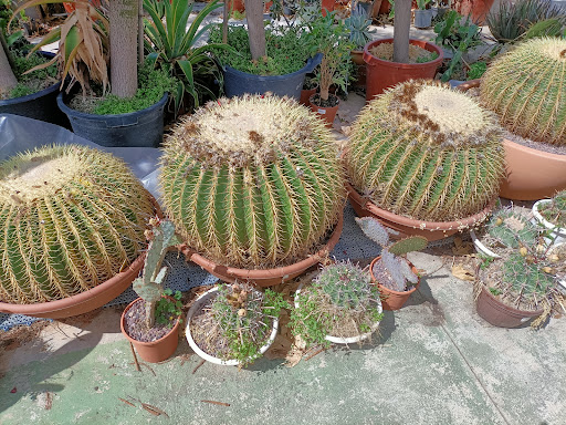 Espacio Verde - Visual