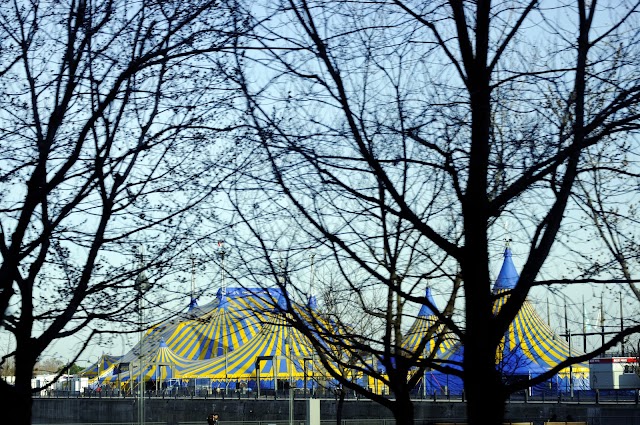 Cirque du Soleil