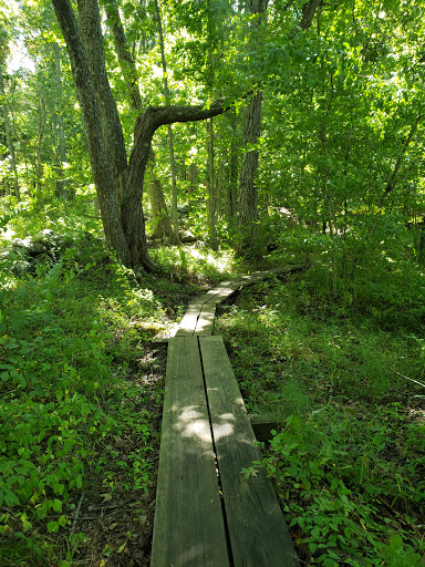 Fenton-Ruby Park - Visual