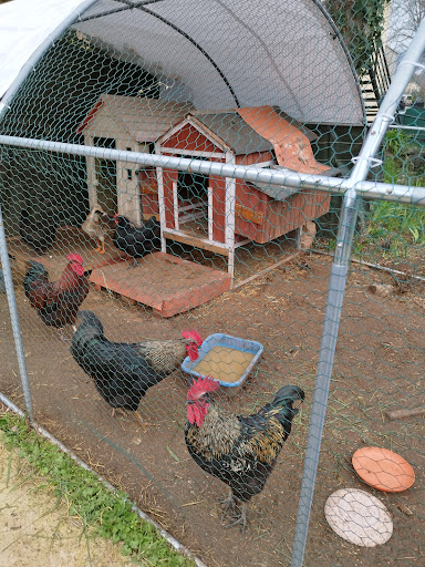 Photo de EHPAD Les Orangers