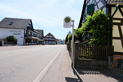 Scherzheim Blume - Thumbnail