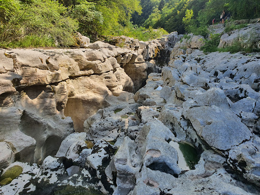 Le long de la rivière - Thumbnail