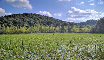 Photos of Zaleski State Forest