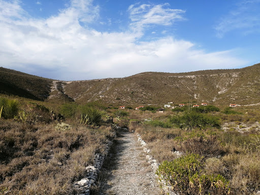 taxadho Botanical Garden