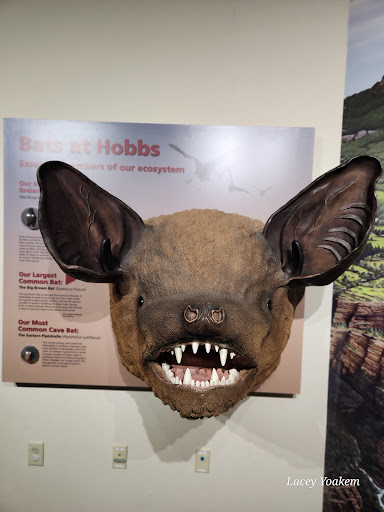Hobbs State Park-Conservation Area Visitor Center - Thumbnail