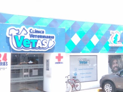 veterinary-care