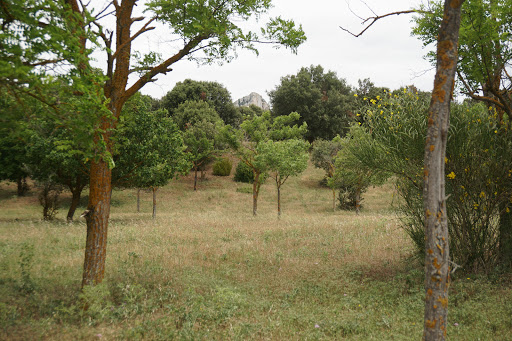 Parque Pamplona - Bengoda parkea - Thumbnail