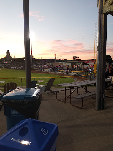 NelsonCorp Field - Visual