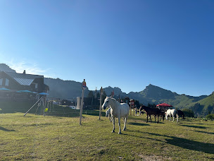 Photo n°49 de La Grande Ourse à Taninges (Service de location de motoneiges)