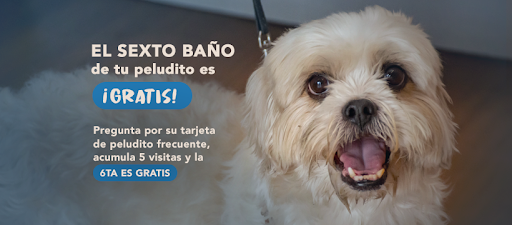 Servicios Veterinarios de Xalapa